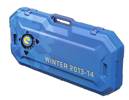 eSports 2013 Winter Case image
