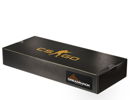 DreamHack 2013 Souvenir Package image