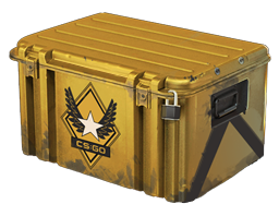 Winter Offensive Weapon Case image