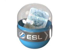 EMS Katowice 2014 Challengers image