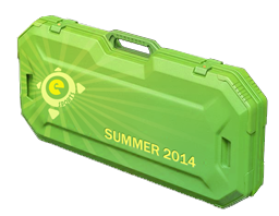 eSports 2014 Summer Case image