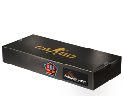 DreamHack 2014 Mirage Souvenir Package image