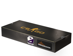 DreamHack 2014 Cobblestone Souvenir Package image