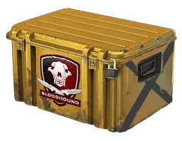 Falchion Case image