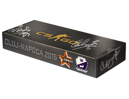 DreamHack Cluj-Napoca 2015 Cobblestone Souvenir Package image