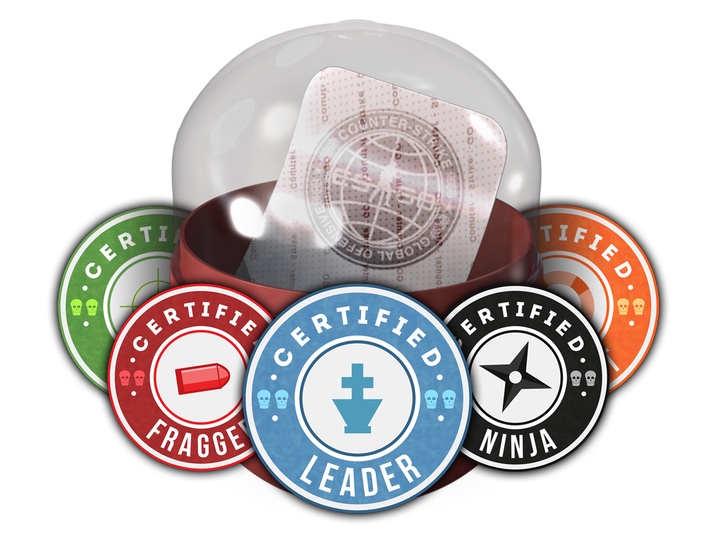 Team Roles Capsule image
