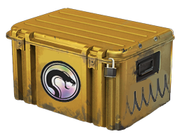 Recoil Case image