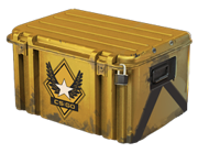 Winter Offensive Weapon Case image