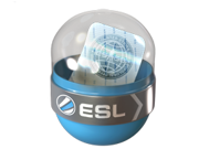 EMS Katowice 2014 Challengers image