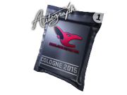 Autograph Capsule | mousesports | Cologne 2015 image