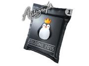 Autograph Capsule | Team Kinguin | Cologne 2015 image