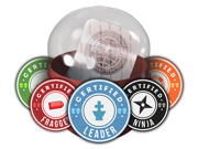 Team Roles Capsule image