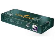 Boston 2018 Cobblestone Souvenir Package image