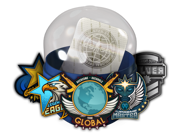 Skill Groups Capsule image