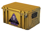 Shattered Web Case image