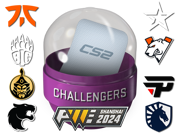 Shanghai 2024 Challengers Sticker Capsule image