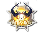 Metal image