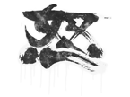 Rage image
