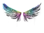 Wings image