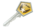 Gallery Case Key