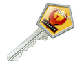 Gallery Case Key