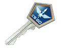 Gallery Case Key