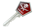 Gallery Case Key