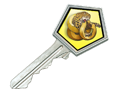 Gallery Case Key