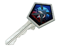 Gallery Case Key