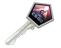 Gallery Case Key
