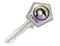 Gallery Case Key